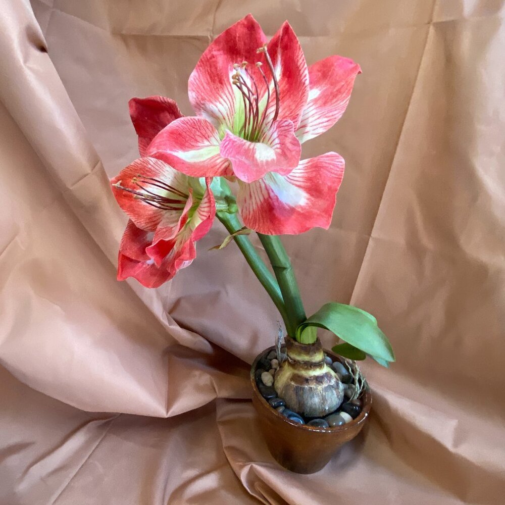 Lifelike Artificial Candy Cane Faux Silk Amaryllis Plant in Clay Pot with Stones